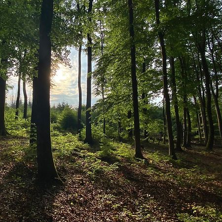 Fruehstueckspension Zur Krone Bad Endbach Extérieur photo